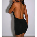 Black Halter Backless Bodycon Dress